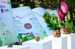  这项演讲由西南大